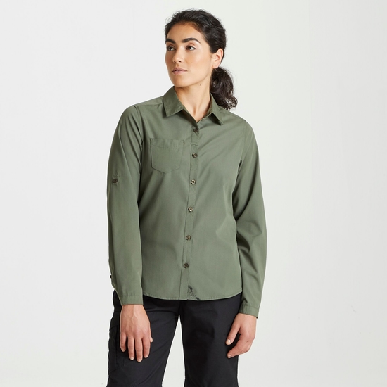 Langärmeliges Expert Kiwi-Shirt für Damen Dark Cedar Green