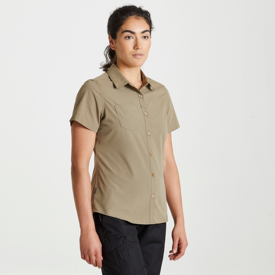 Women's Expert Kiwi Short Sleeved Shirt Pebble
