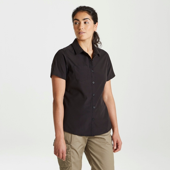 Damen-Kurzarmshirt „Expert Kiwi“. Black