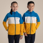 Howlite Blue / Warbler Yellow
