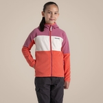 Dusky Hibiscus / Deep Coral