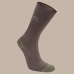 Woodland Green / Wild Olive