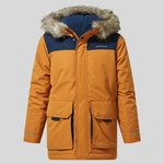 Pumpkin Spice / Blue Navy