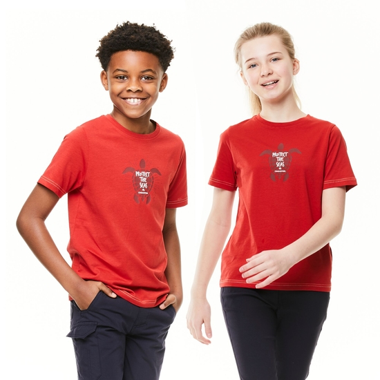 Kids' Gibbon Short Sleeved T-Shirt Pompeian Red Turtle