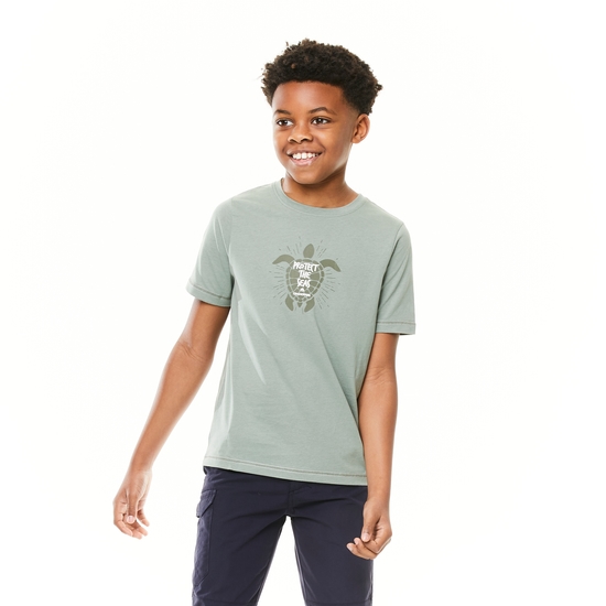 Kids' Gibbon Short Sleeved T-Shirt Sage Turtle