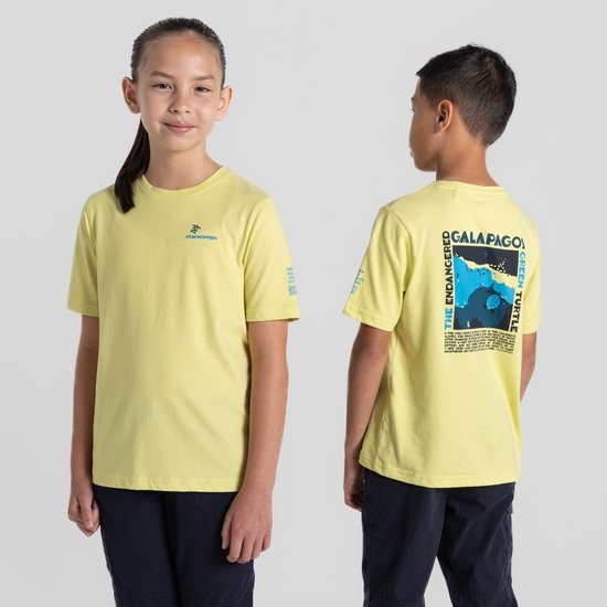 Kid's Ellis Short Sleeved T-Shirt Key Lime