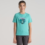 Ocean Green Penguin