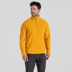 Warbler Yellow 