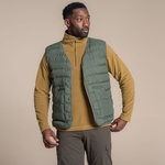 Lagano Green