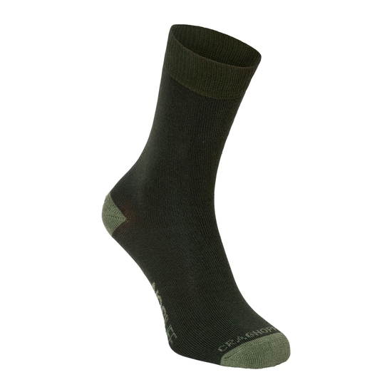 Men's NosiLife Travel Socks Parka Green / Dry Grass