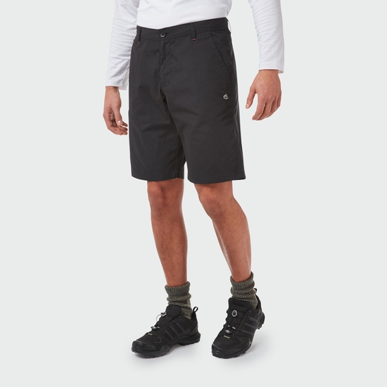 Men's Verve Shorts Black