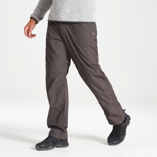 Men's Kiwi Classic Trousers Bark