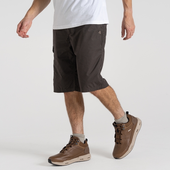 Men's Kiwi Long Shorts Bark