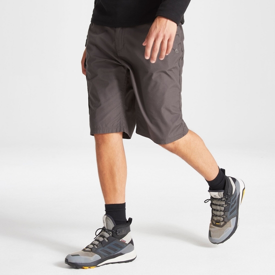 Lange Kiwi-Shorts für Herren Black Pepper
