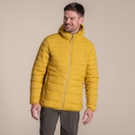 Sulphur Yellow