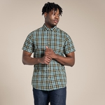 Spruce Green Check