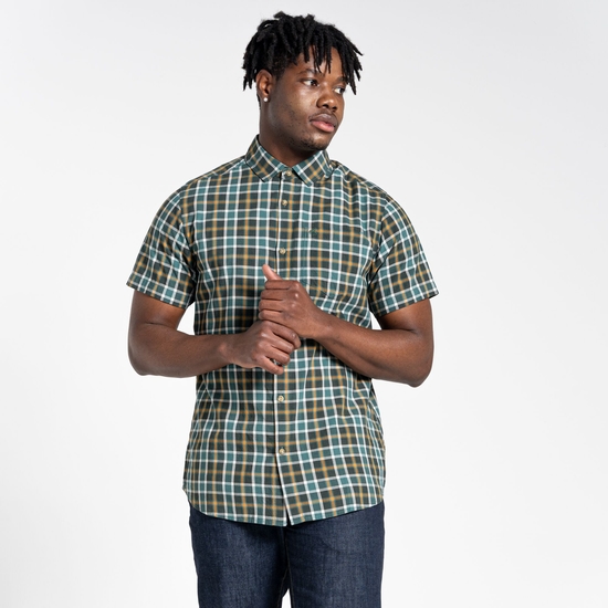 Men's Menlo Short Sleeved Shirt Spruce Green Check