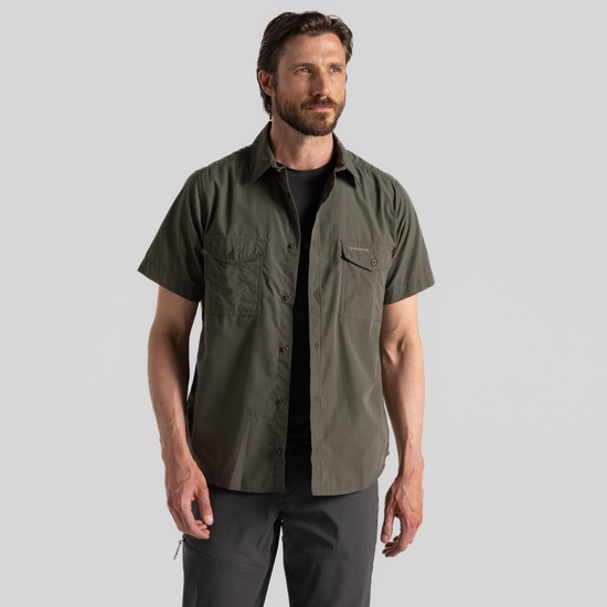 Men's Kiwi Short Sleeved Shirt Cedar