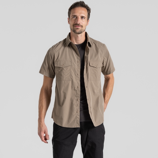 Men's Kiwi Short Sleeved Shirt Pebble