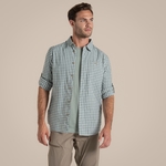 Lichen Green / Ecru Check