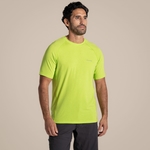 Limewave