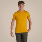 Warbler Yellow 