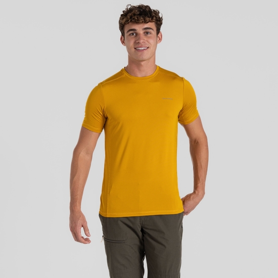 Men's Charon Short Sleeved T-Shirt Warbler Yellow 