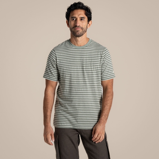 Men's Buffon Short Sleeved T-Shirt Lichen Green Stripe