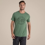 Mangrove Green