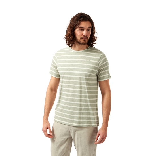 Men's Nosibotanical Sten Short Sleeved T-Shirt Sage Stripe