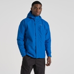 Bolt Blue