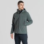 Dark Balsam Green