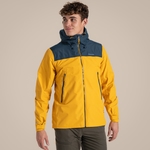 Warbler Yellow / Blue Stone 