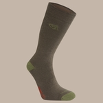 Woodland Green / Wild Olive