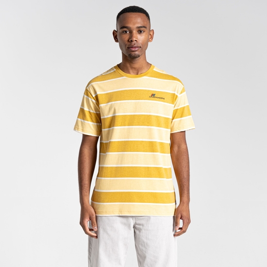 Ventura Short Sleeved T-Shirt Sunrise Yellow Stripe