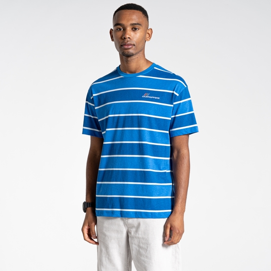 Ventura Short Sleeved T-Shirt Falls Blue Stripe
