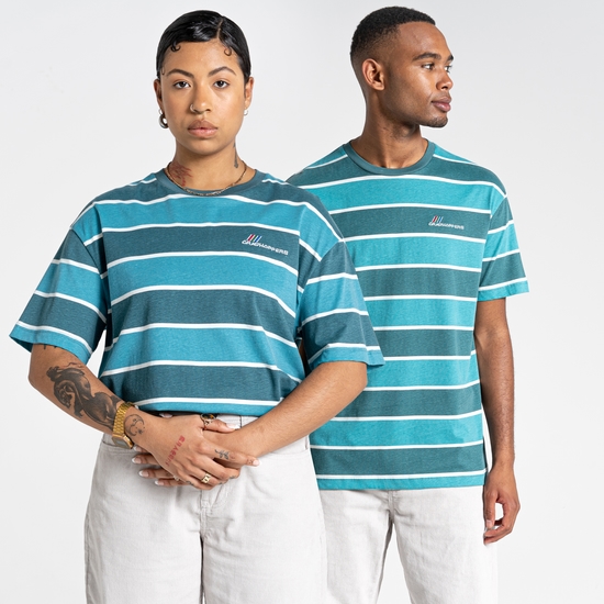 Ventura Short Sleeved T-Shirt Sacramento Green Stripe