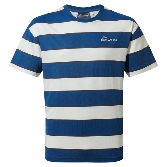 Denali Short Sleeved T-Shirt Poseidon Blue / Calico Stripe