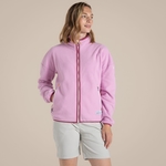 Pink Lavender