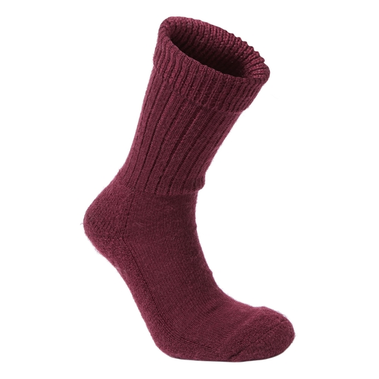 Women's Wool Hiker Sock Wildberry