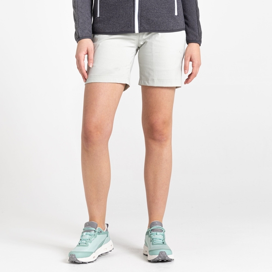 Women's Stretch Kiwi Pro III Shorts Dove Grey