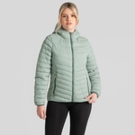 Meadow Haze / Frosted Pine