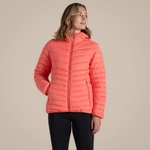 Deep Coral
