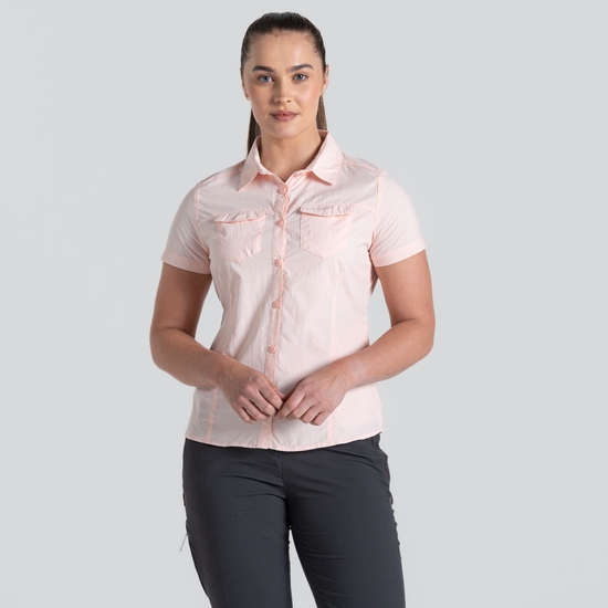 NosiLife Adventure II Bluse mit kurzem Ärmel Seashell Pink