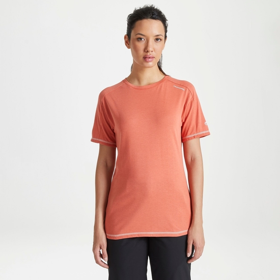 Women's Dynamic Short Sleeved T-Shirt Warm Ginger