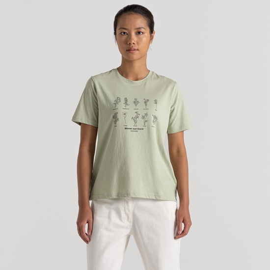 Women's Malibo Short Sleeved T-Shirt Bud Green Bloom