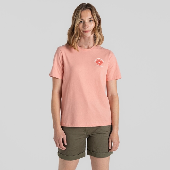 Women's Malibo Short Sleeved T-Shirt Sunset Haze