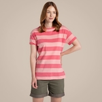 Coral Reef Stripe