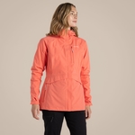 Deep Coral