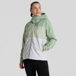 Deep Bud Green / Bud Green / Lunar Grey